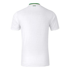 Maillot Irlande Exterieur 2024-25